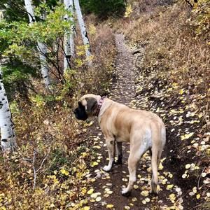 Meet your Posher, Fionna